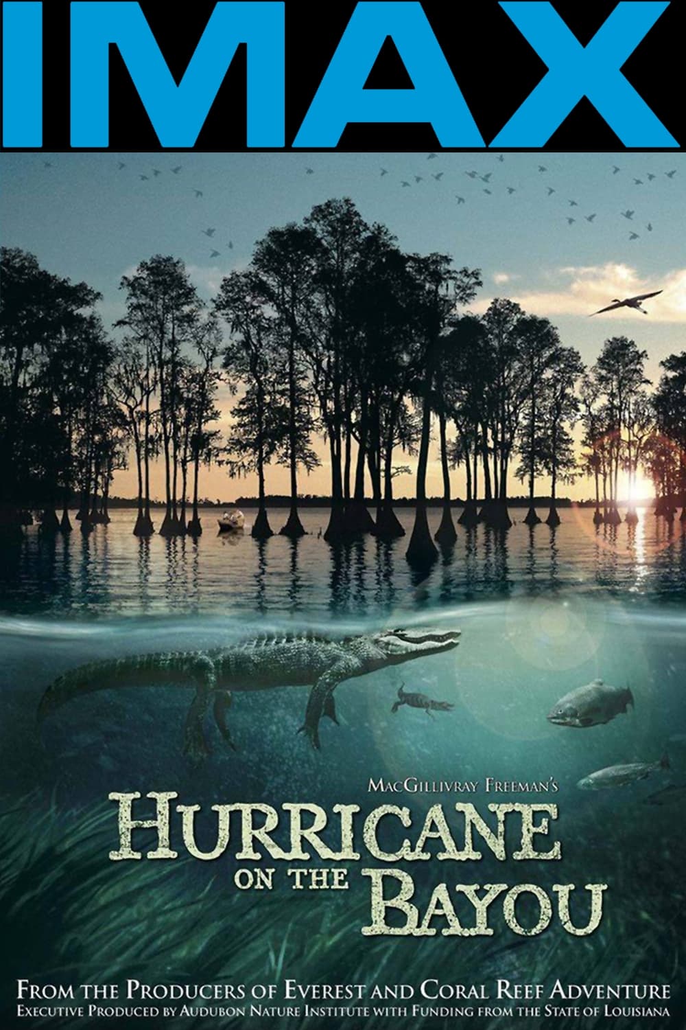 Постер Hurricane on the Bayou